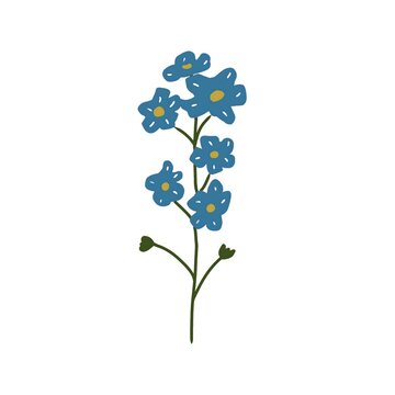blue flowers on a white background