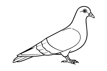 Pigeon Line Art Vector Illustration, Pigeon silhouette Isolated on White Background