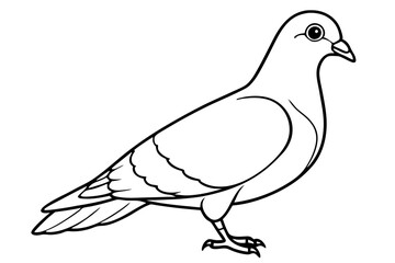 Pigeon Line Art Vector Illustration, Pigeon silhouette Isolated on White Background