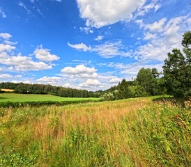 Vivid sunny summer landscape with green and yellow meadow. Sun, blue sky and clouds, green nature...