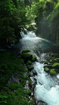 waterfall in the forest