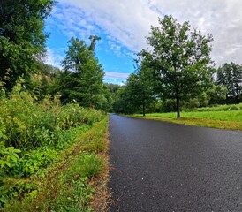 Morning empty narrow road with grass and trees under the summer blue sky and clouds. Hiking in the nature, travel photography. Green landscape, road, plants and trees. Clouds and nature.