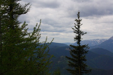 Wedrujac po gorach.