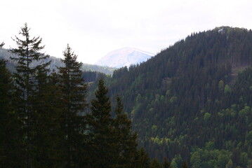 Wedrujac po gorach.