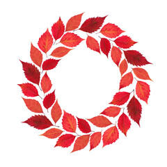 Autumn wreath frame PNG of real dry fall leaves. © TextureTextileLab