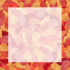 Autumn note frame of real fall leaves. Seasonal paper note template. Notes, memo and to do lists used in a diary, home or office.