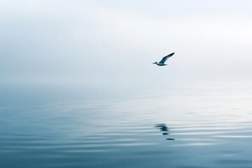 Obraz premium A Serene Moment: A Bird in Flight Over Calm Waters