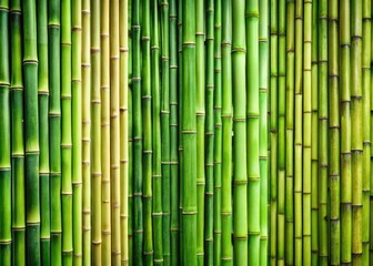 Bamboo Fence Texture Collage in Gradient Green for Backdrops and Designs