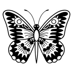 butterfly illustration vector