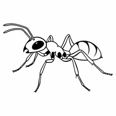 ant vector