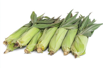 Obraz premium Stunning aerial view of lush green corn fields stretching endlessly under a clear blue sky on a bright sunny day.