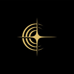 luxury star shining sparkling logo vector