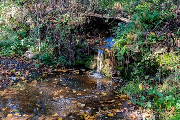Petite cascade avec son eau claire coulant sur un rocher et traversant le chemin de randonne d'Apchat dans le puy de d&ocirc;me par une belle journ&eacute;e ensoleill&eacute;e en automne