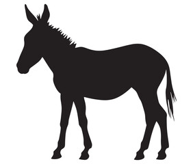 Obraz premium Silhouette of a donkey, Donkey silhouette isolated on white