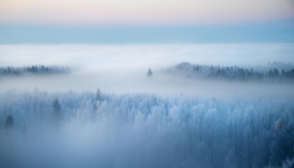 Fototapeta premium Frozen forest emerging from the fog at dawn