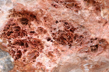 Exploring the Intricate and Unique Textures Found in Various Natural Rock Formations