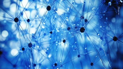 Abstract Network of Connections