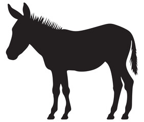 Obraz premium Silhouette of a donkey, Donkey silhouette isolated on white