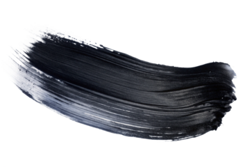 Black brush Stock on isolated background