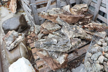 A collection of Natural Stones and Fossils beautifully arranged on a Wooden Pallet