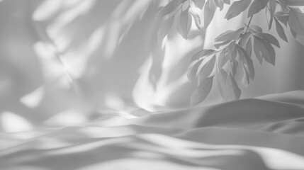Obraz premium Minimalist white background with soft light effects, realistic texture for a high-quality look