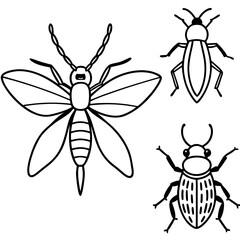 set of insects