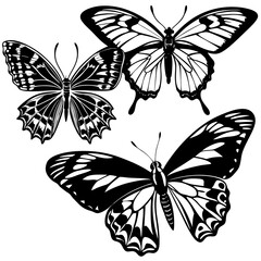 set of butterflies isolated