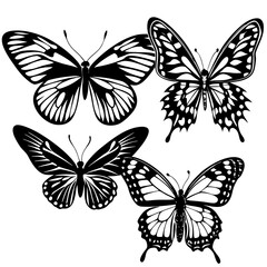 set of butterflies