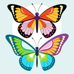 butterfly illustration