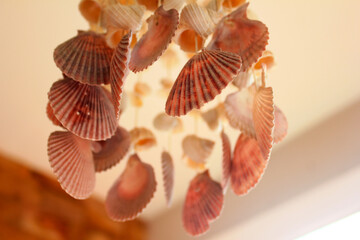 Seashell mobile hanging in front of the house