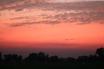 Orange sky, evening, countryside, trees
