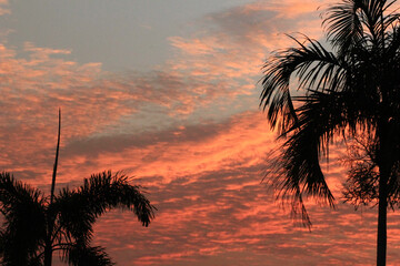 Orange sky, evening, countryside, trees