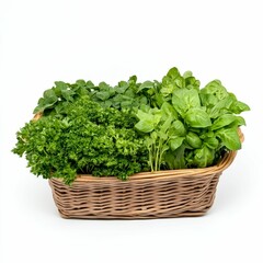 Fototapeta premium Green herbs in a woven basket.