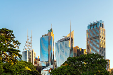 Sydney City skyline at sunset while viewed across Royal Botanic Gardens