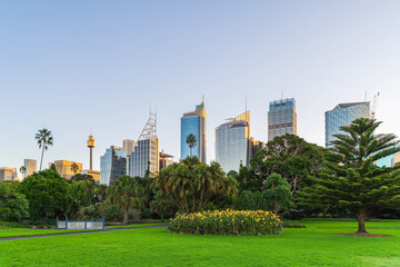 Sydney City skyline at sunset while viewed across Royal Botanic Gardens