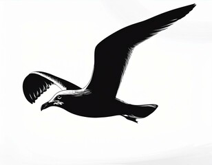 Icon Gull black white, contrast image isolated on white background