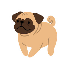 Cute vector Illustration of Pug dog. Pet clipart collection. canine, puppy hand drawn. Illustrated in various poses.