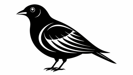 Minimalist Bird of Silhouette Vector, black and white bird illustration