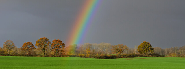 Regenbogen