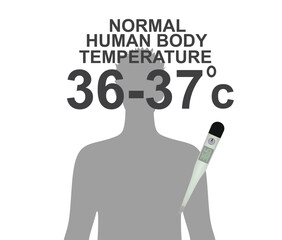 Normal body temperature icon. vector