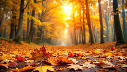 Autumn leaves scattered on the forest floor, brown, leaves, colors