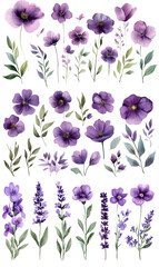 Beautiful Purple Floral Illustrations Collection