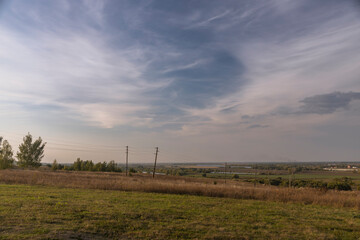 A field with a few trees and a few birds flying in the sky