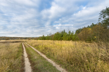 A dirt road in a field with trees in the background