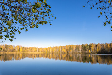 A lake with trees in the background and a blue sky