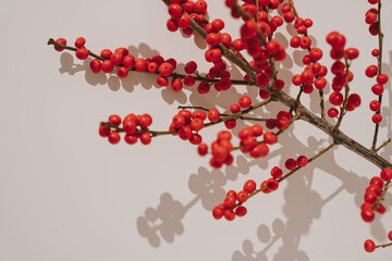 Red Berries on Branch with Shadow Play. Seasonal Botanical Minimalism, Christmas Decor, Festive Natural Elements