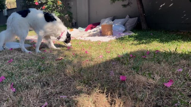 Preparing for the Gender Reveal Party