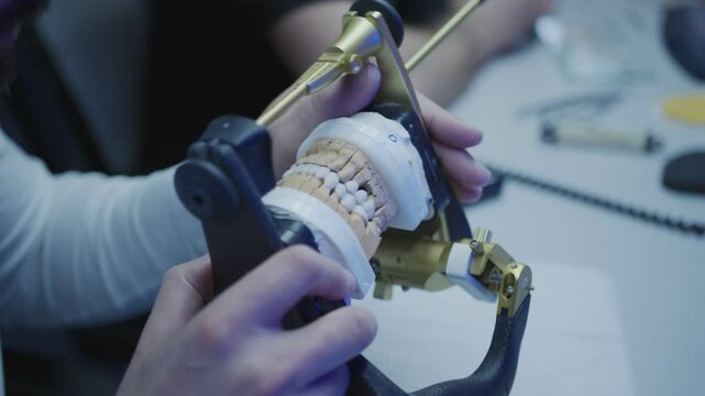Dental technician checks veneers on articulator