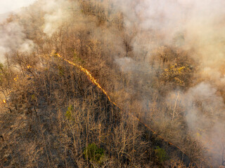 Wildfires release carbon dioxide (CO2) emissions and other greenhouse gases (GHG) that contribute...