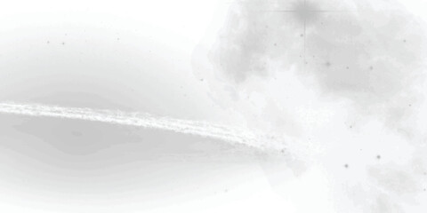 Delicate monochrome abstract art featuring intricate veining and a soft smoky effect, perfect for neutral-toned designs.
